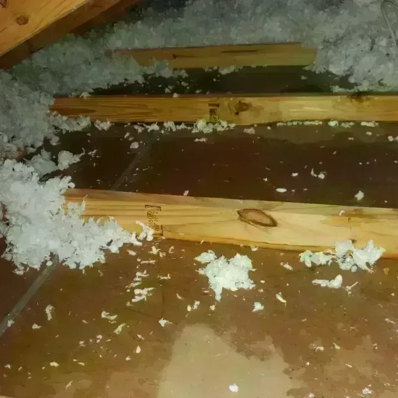 Attic Water Damage in Lafayette, TN