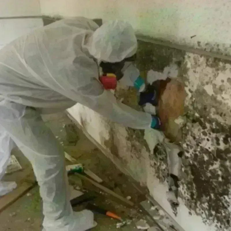 Mold Remediation and Removal in Lafayette, TN