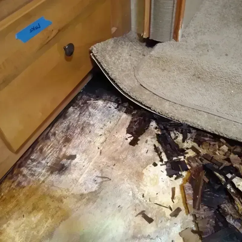 Wood Floor Water Damage in Lafayette, TN